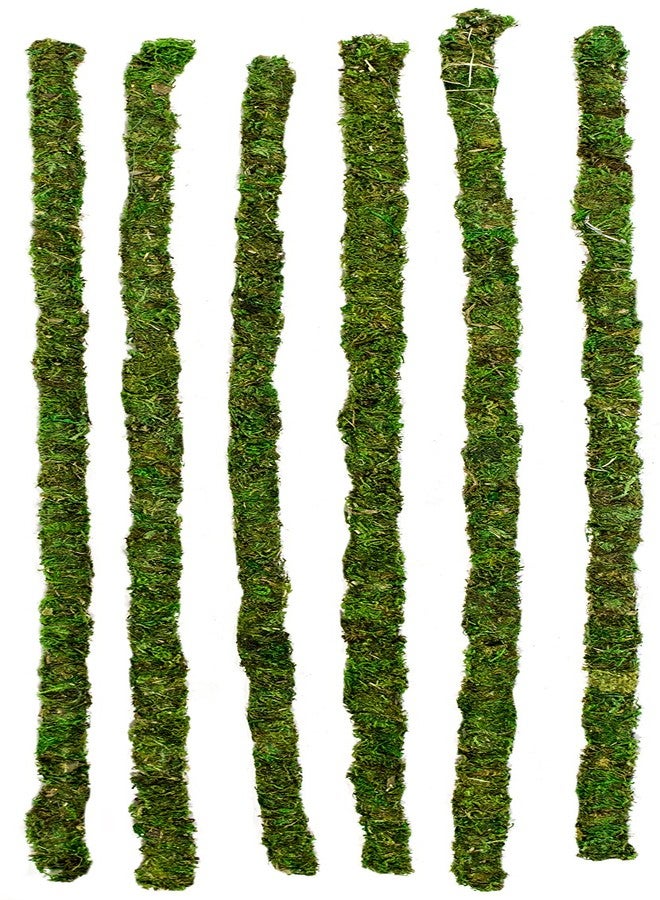 Supermoss Galápagos (05321) Mossy Terrarium Sticks (6 Pack), 24"